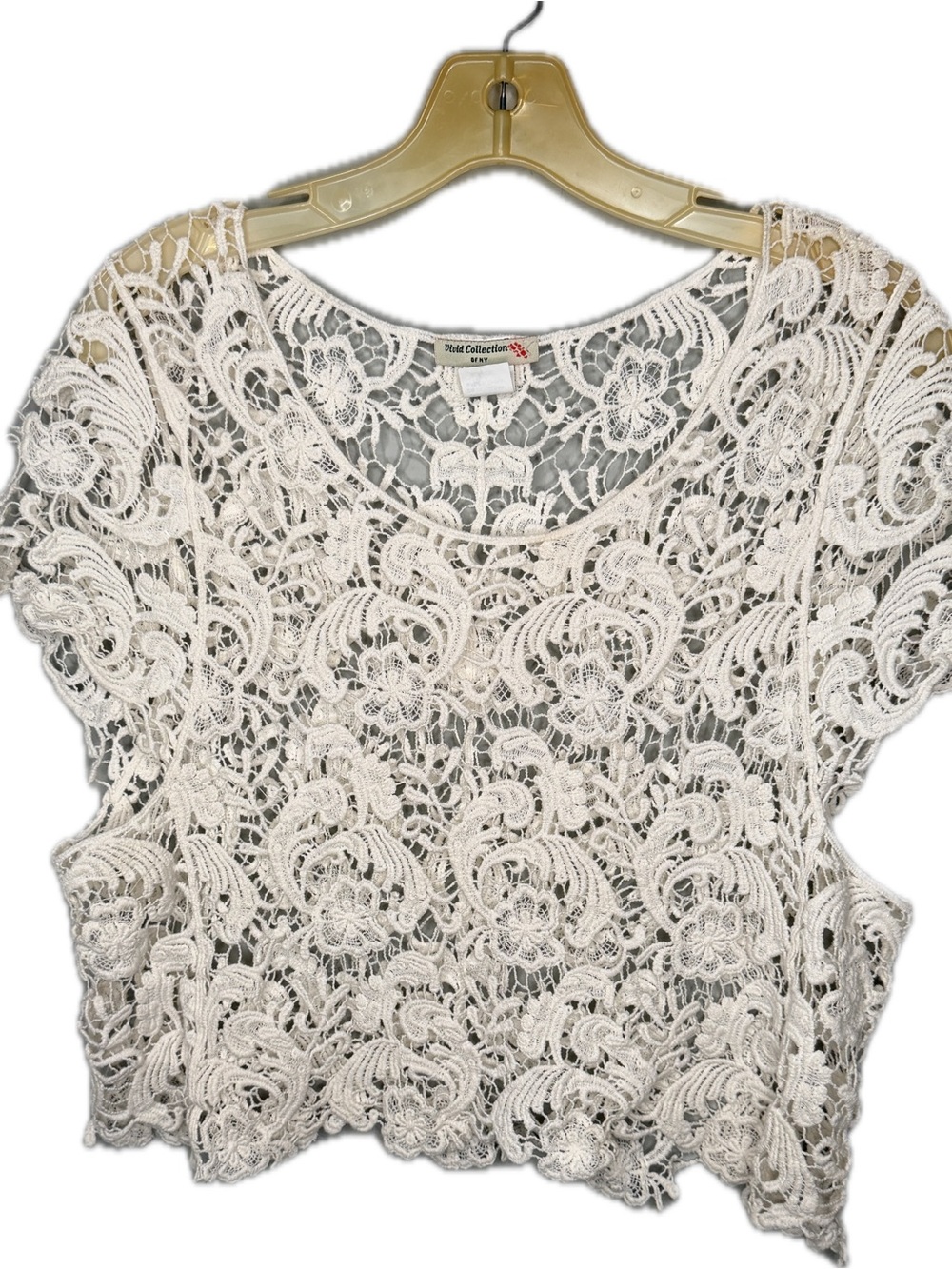 Vivid Collection of New York Sheer Lace Top